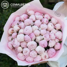 Букет из 51 розового пиона Standart Plus в розовой пленке