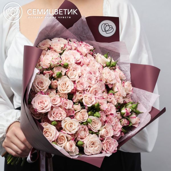 Букет из 25 белых с розовой каймой кустовых роз 40 см (Кения) в бордовой пленке