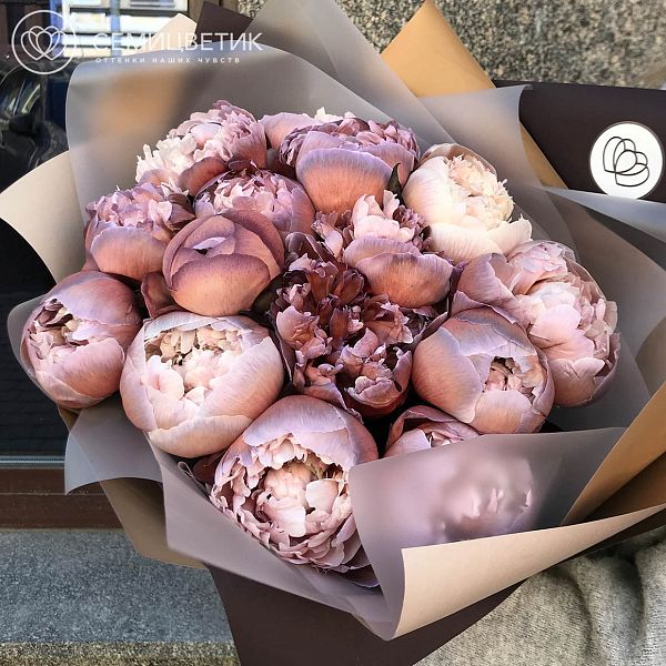 Букет из 15 пионов Брауни Premium