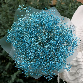 Букет из 11 голубых гипсофил в прозрачной пленке