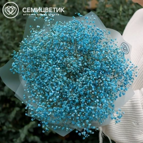 Букет из 11 голубых гипсофил в прозрачной пленке