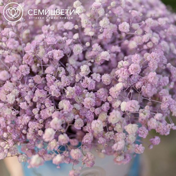 Букет в голубой шляпной коробке Amour Mini из 9 розовых гипсофил
