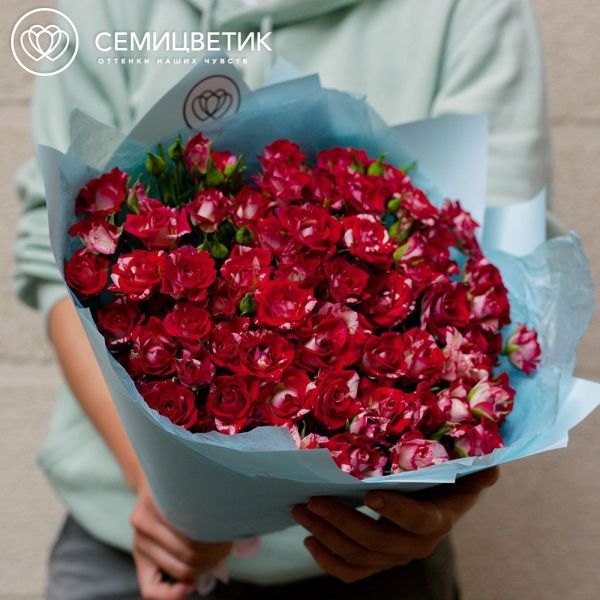 Букет из 25 кустовых роз биколор 40 см (Кения)
