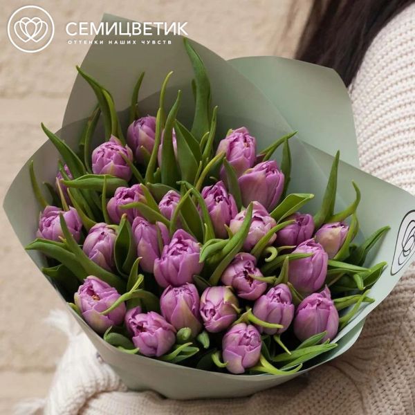 Букет из 25 сиреневых пионовидных тюльпанов в зеленой пленке