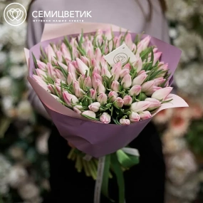 Букет из 101 нежно-розового тюльпана в розовой пленке