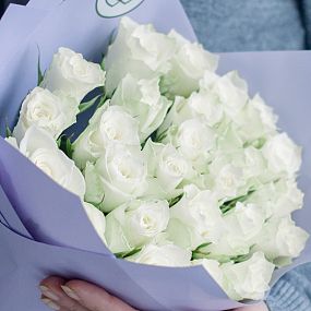 Букет учителю музыки  из 25 белых роз 40 см (Кения) в сиреневой упаковке