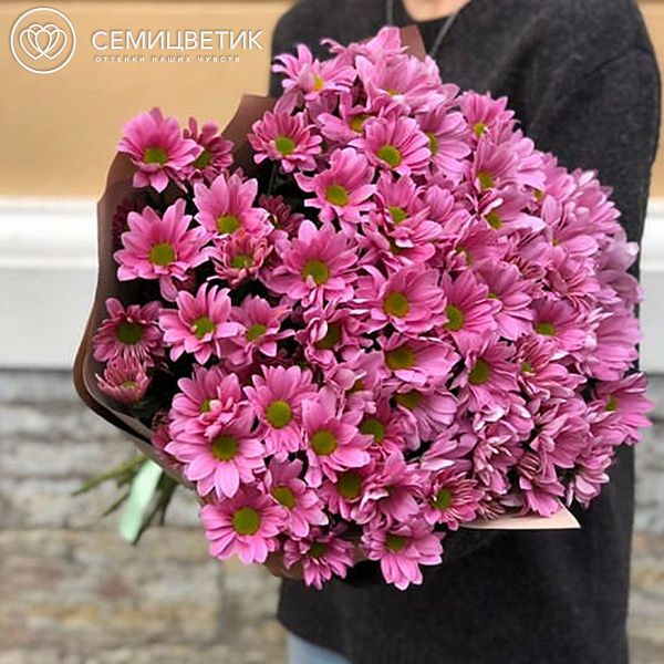15 розовых кустовых хризантем в дизайнерской упаковке ZL