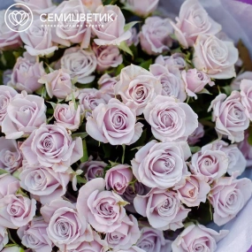 Букет из 19 кустовых сиреневых роз 40 см (Кения) в сиреневой пленке