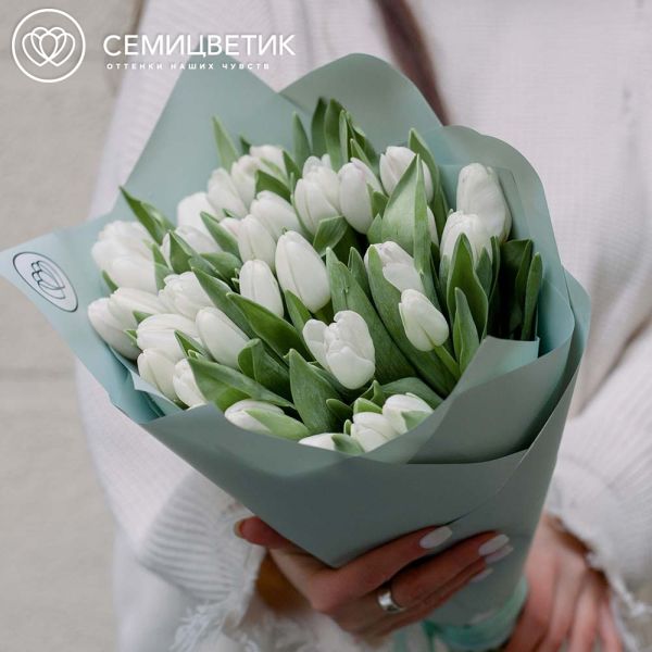Букет из 35 белых тюльпанов 40 см в голубой пленке
