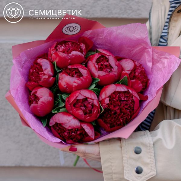 Букет из 9 бордовых пионов Premium