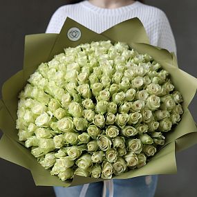 Шикарный букет  из 151 белой розы 40 см (Кения)