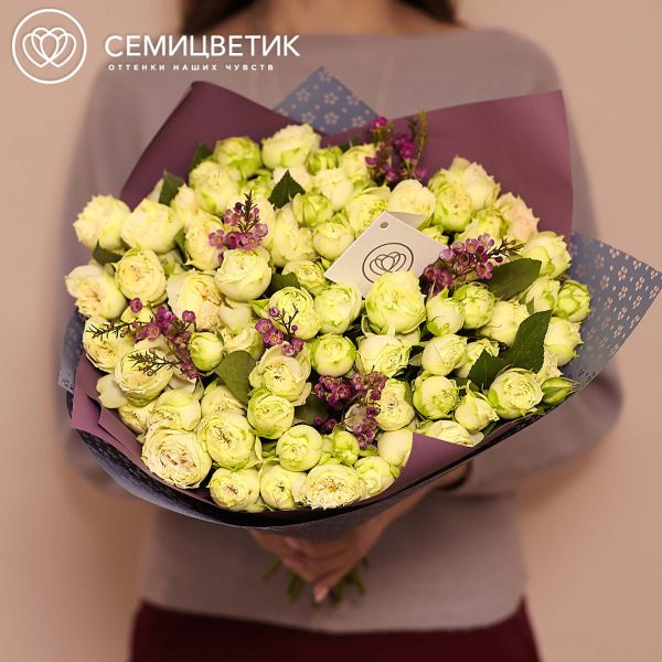 Букет из 25 бело-фисташковых кустовых пионовидных роз Blanchette 40 см с зеленью
