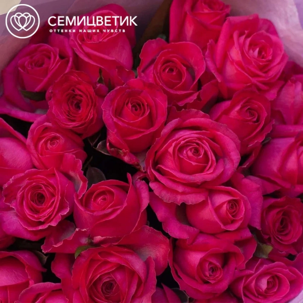 Букет из 25 малиновых роз 40 см (Россия) в сиреневой пленке