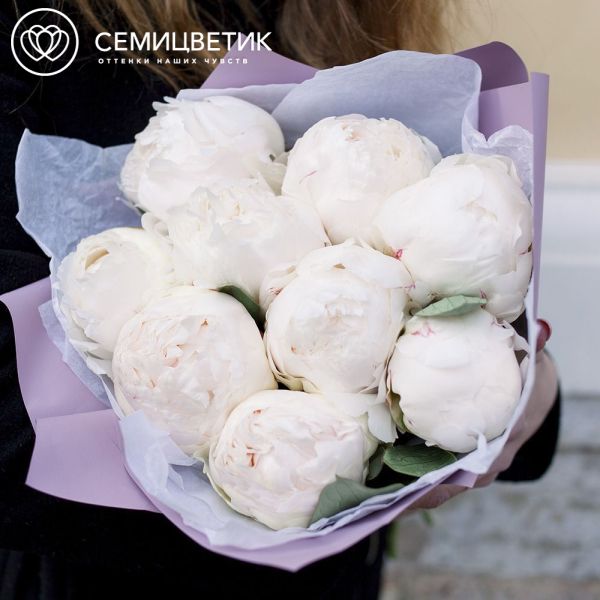 Букет из 9 белых пионов Premium