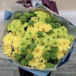 Букет из 15 желтых и зеленых кустовых хризантем