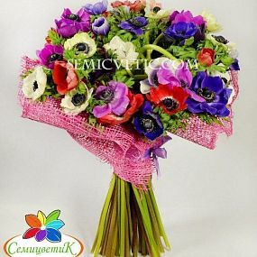 Букет из 51 анемоны микс