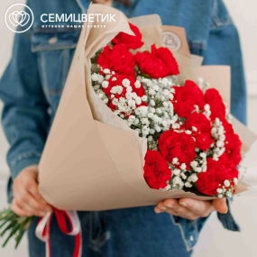 Букет из 15 красных гвоздик и 6 гипсофил в кремовой пленке