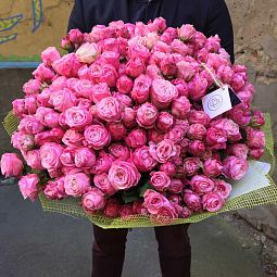 Букет из 51 розовой кустовой пионовидной розы Lady Bombastic 40 см