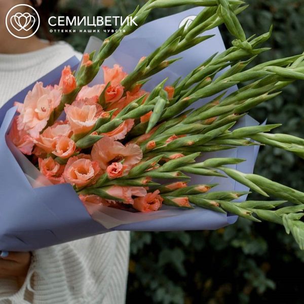 Букет из 11 коралловых гладиолусов