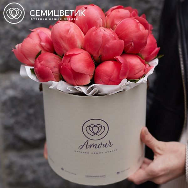Букет в белой шляпной коробке Amour Mini из 15 коралловых пионов Coral Sunset Premium