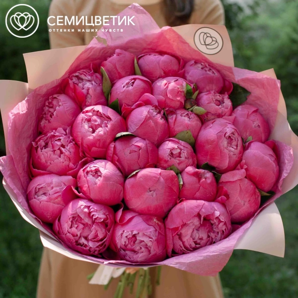 Букет из 25 ярко-розовых пионов Command Performance Premium в розовой пленке