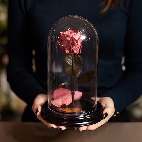Тёмно-розовая роза в колбе 22 см