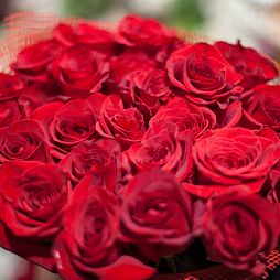 Букет из 29 красных роз Freedom 70 см (Эквадор)