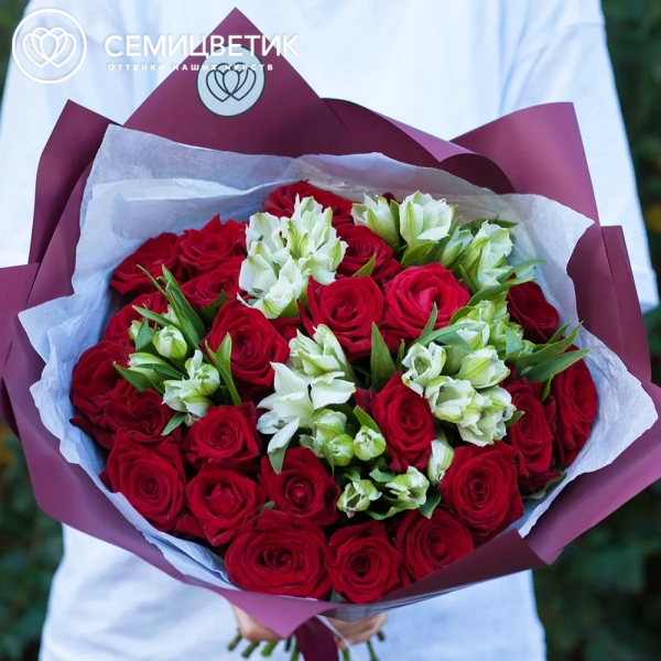 Букет из 26 красных роз 35-40 см (Россия) и 7 белых альстромерий в бордовой пленке