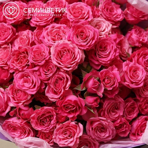 Букет из 25 малиновых кустовых роз 40 см (Кения) в сиреневой круглой упаковке