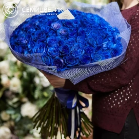Букет из 101 синей розы 60 см (Эквадор) в упаковке