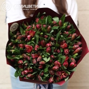 Букет из 23 красных альстромерий в бордовой пленке