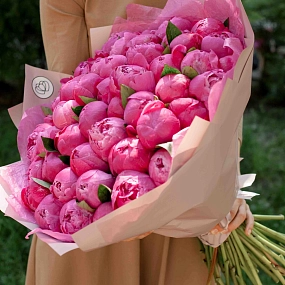 Букет из 51 ярко-розового пиона Command Performance Premium в розовой пленке