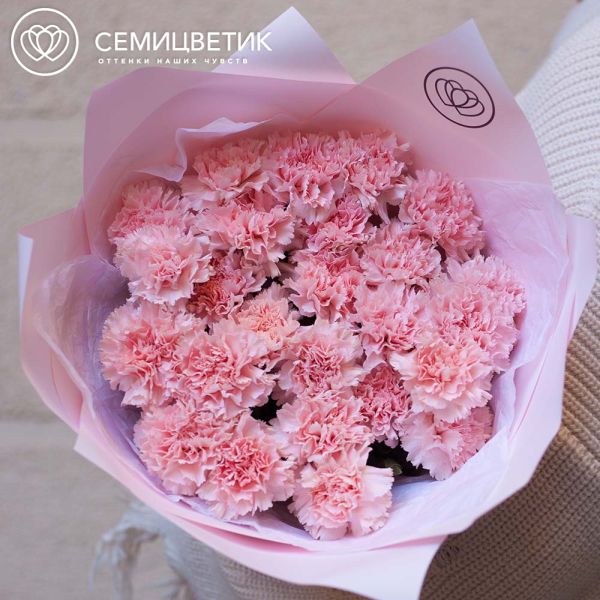 Букет из 25 розовых гвоздик