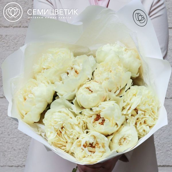 Букет из 11 лимонных пионов Lemon Chiffon Premium