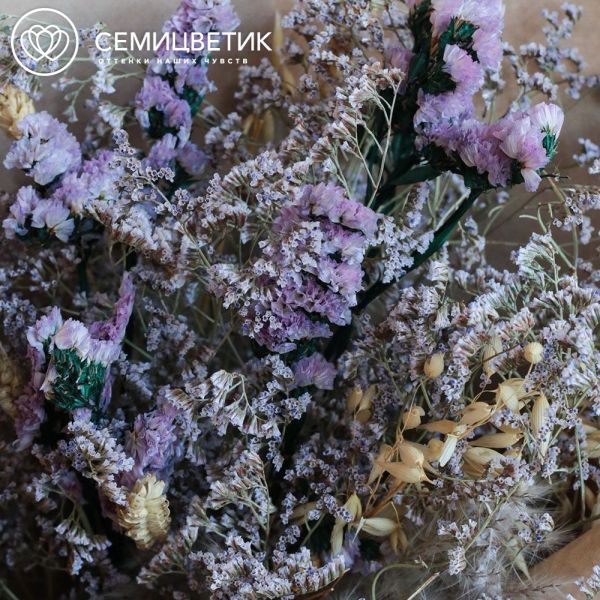Букет из сухоцветов со статицей, лимониумом, пшеницей и ковылем