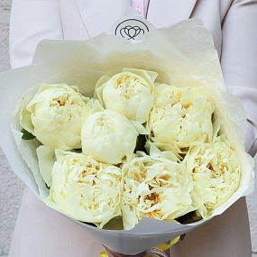 Букет из 7 лимонных пионов Lemon Chiffon Premium в белой пленке