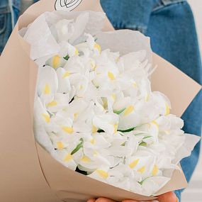 Букет из 35 белых ирисов