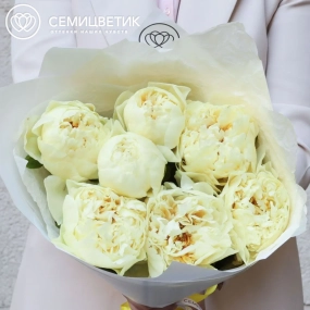 Букет из 7 лимонных пионов Lemon Chiffon Premium в белой пленке