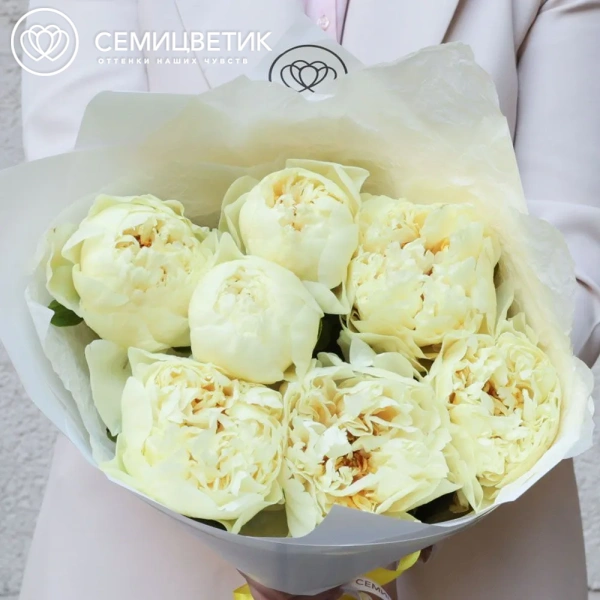 Букет из 7 лимонных пионов Lemon Chiffon Premium в белой пленке