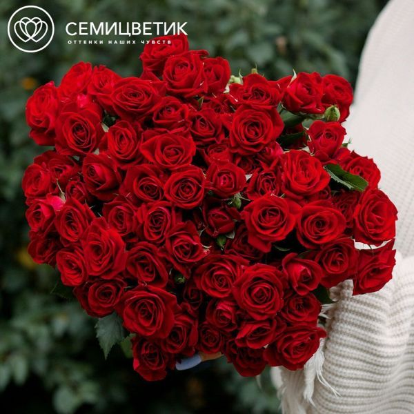 Траурный букет из 20 кустовых красных роз 40 см (Кения)