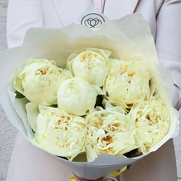 Букет из 7 лимонных пионов Lemon Chiffon Premium в белой пленке