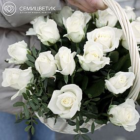 Композиция из 25 белых роз (Россия) с фисташкой в корзине