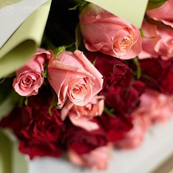 25 красных и розовых роз (Кения) 40 см Premium