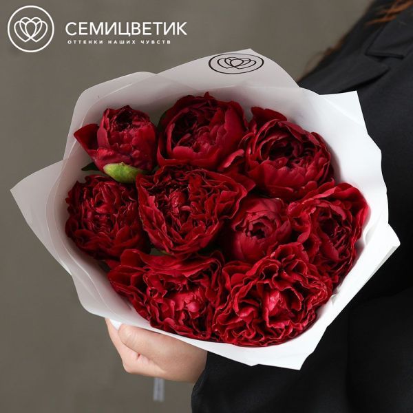 Букет из 9 бордовых пионов Old Faithful Premium