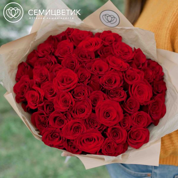 Букет из 51 красная с темной каймой роза 35-40 см (Россия)
