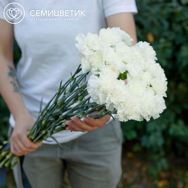 Траурный букет из 20 белых гвоздик