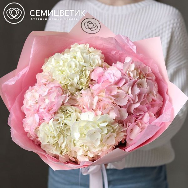 Букет из 5 белых и розовых гортензий
