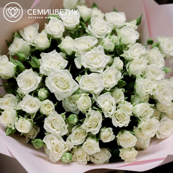 Букет из 15 белых кустовых роз 40 см (Кения) в розовой пленке