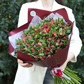 Шикарный букет  из 51 красной альстромерии