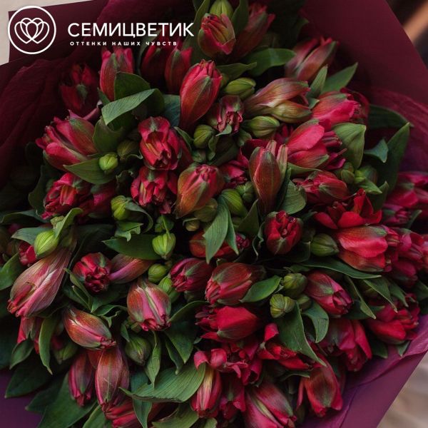 Букет из 15 красных альстромерий